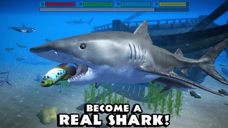 Ultimate Shark Simulator screenshot-0