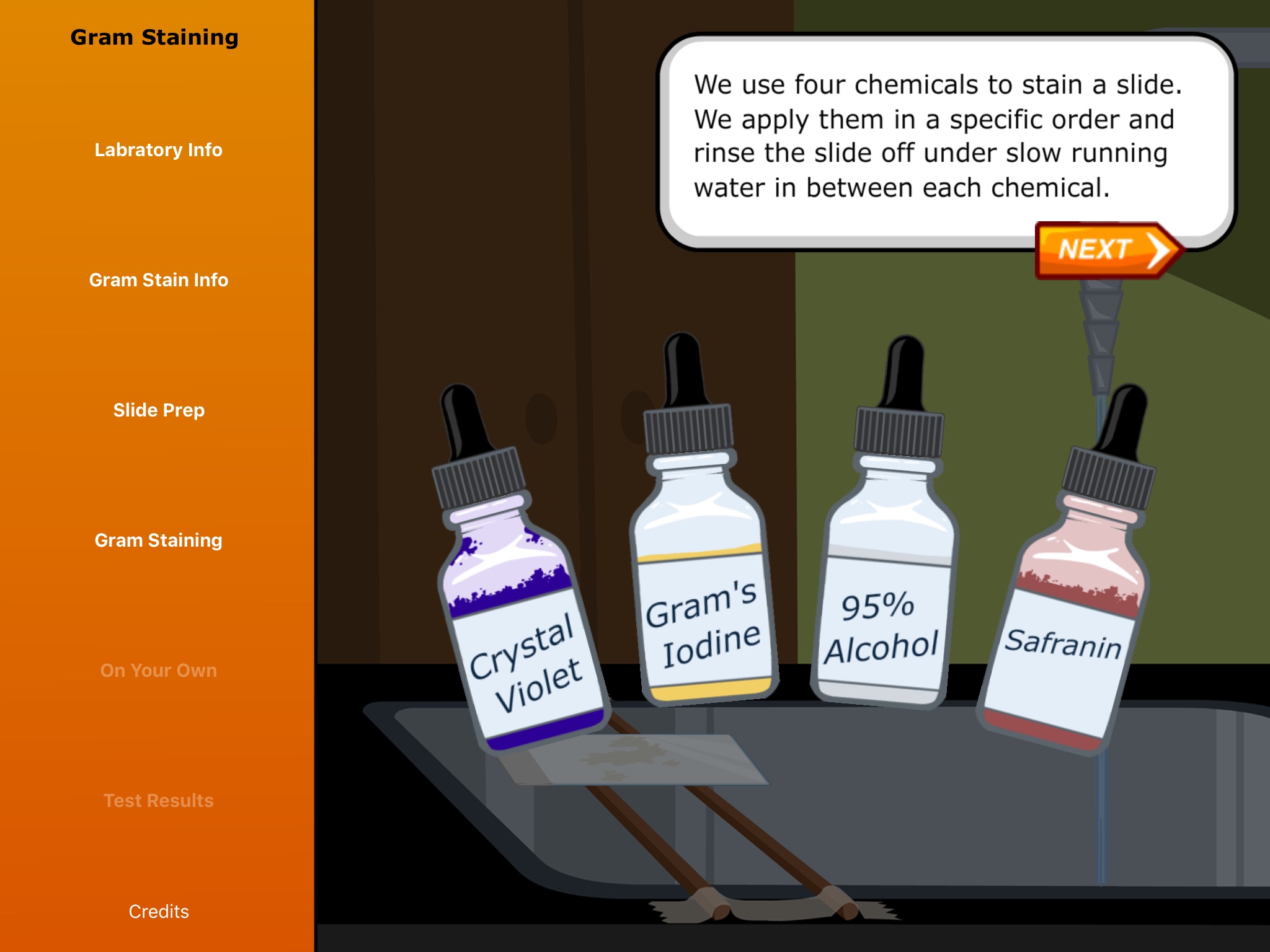Virtual Labs: Gram Staining screenshot 4
