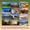 King Beautiful Picture Puzzle