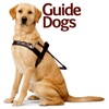 Guide Dogs for The Blind:Tips and Tutorial
