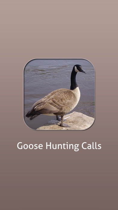 【图】Goose Hunting Calls!(截图1)