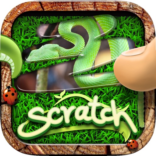Scratch The Pic : Name of The Critter Trivia Photo Reveal Games Pro