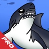 Monster Nigth PRO : Shark  Sea