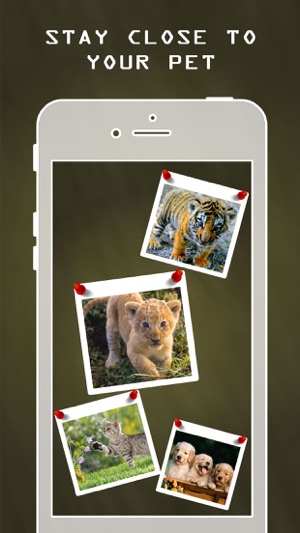 Photogram - Photo Collage Maker,Picture Jointer,Sticky Photo(圖3)-速報App