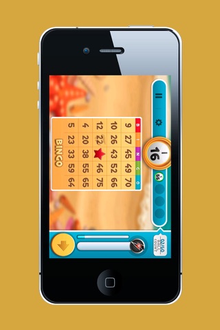 Bingo Magic-Adventure screenshot 4