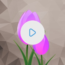 Video Color Editor - Change Video Color, Add Video Filters and Vintage Effects