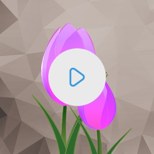 Video Color Editor - Change Video Color, Add Video Filters and Vintage Effects icon