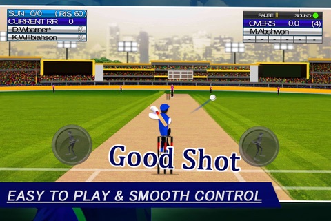 IPL Cricket Craze 3D screenshot 3