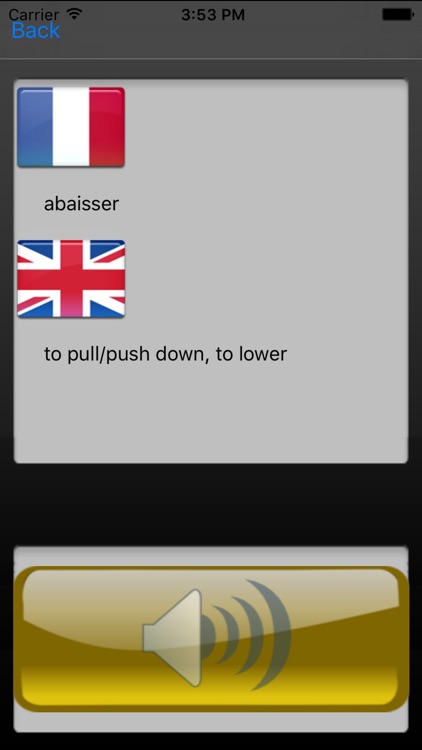 Audio French-English Dictionary screenshot-3