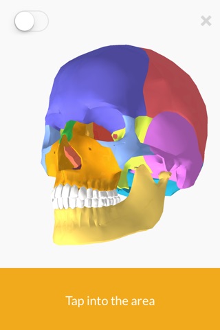 3D Anatomy teachr screenshot 3