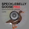 Icon Specklebelly Goose Calls - Electronic Caller