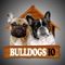 BULLDOGS IO