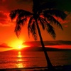 Hawai Photos and Videos - Learn about most exotic Island on Pacific