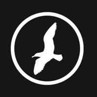 부산 갈매기 with 자이언츠 PC 용