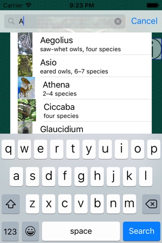 Owl Dictionary screenshot 4