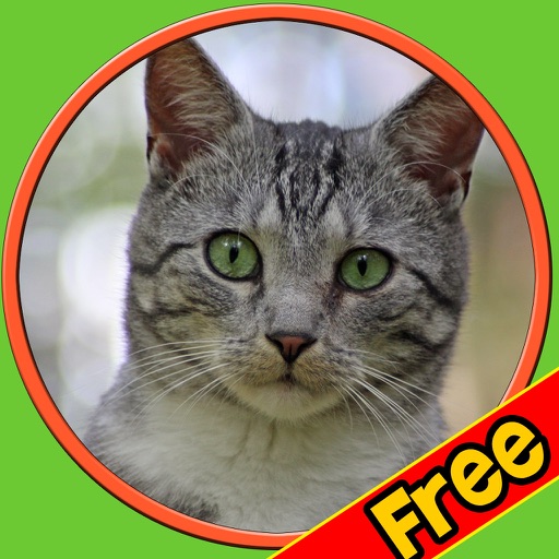 amazing cats for kids - free icon