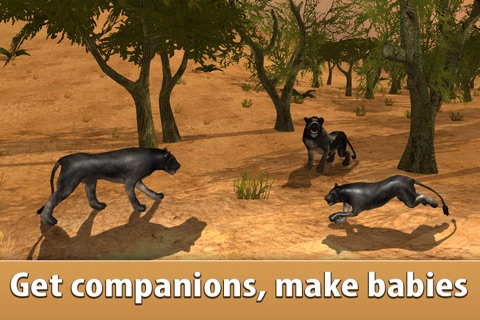 Black Wild Panther Simulator 3D Full - Be a wild cat in animal simulator! screenshot 2