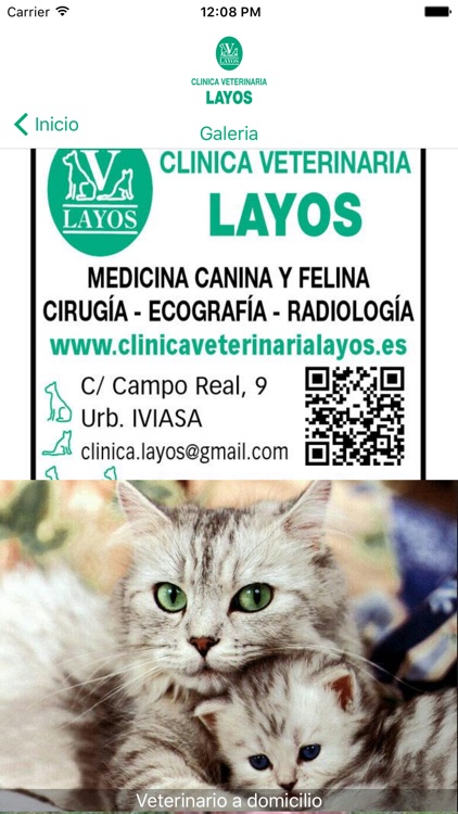 CLINICA VETERINARIA LAYOS screenshot-3