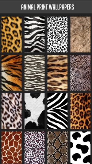 Animal Print Wallpapers(圖1)-速報App