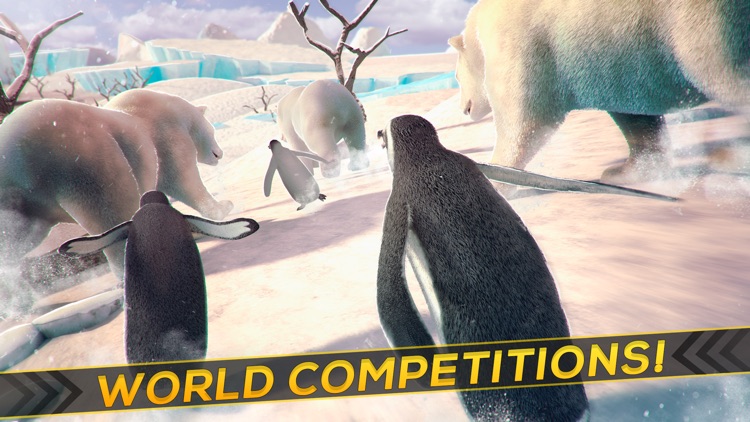 Funny Penguin Racing Challenge | Free Game For Kids