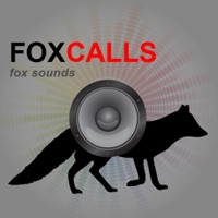 REAL Fox Sounds and Fox Calls for Fox Hunting (ad free) BLUETOOTH COMPATIBLE apk
