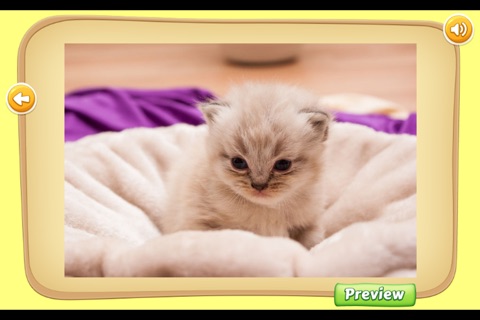 Cute Kitten - Sliding Puzzle screenshot 3
