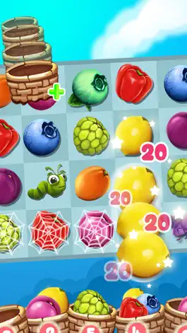 Game screenshot Hungry Fruit Bear Harvest Blast Matching Puzzler Games Free mod apk