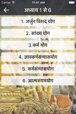 Bhagavad Gita in Hindi screenshot 3