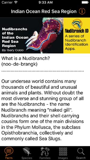 Nudibranch ID IndianOcn RedSea(圖2)-速報App