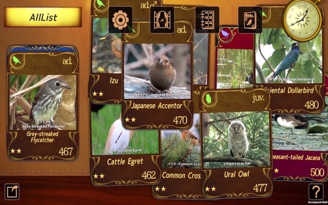 Birds Collection-The library of wild birds video- screenshot 3