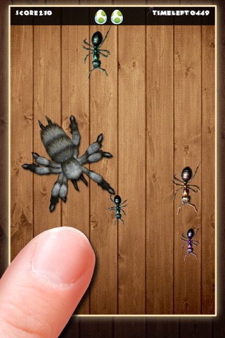 Ant Clash ^-^ screenshot 2