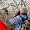 Bird Watching Photos & Videos FREE | Amazing 296 Videos and 55 Photos