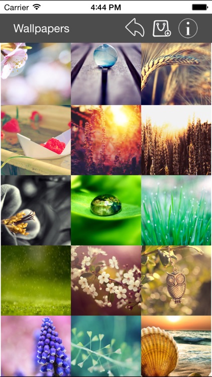 Wallpaper Collection Macro Edition