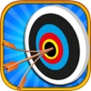 Archery Shooter Target 3D Game