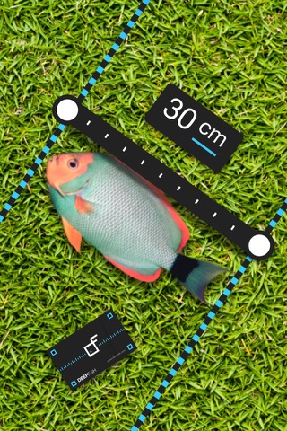 Fish Ruler screenshot 3
