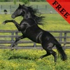 Horse Photos & Video Galleries FREE