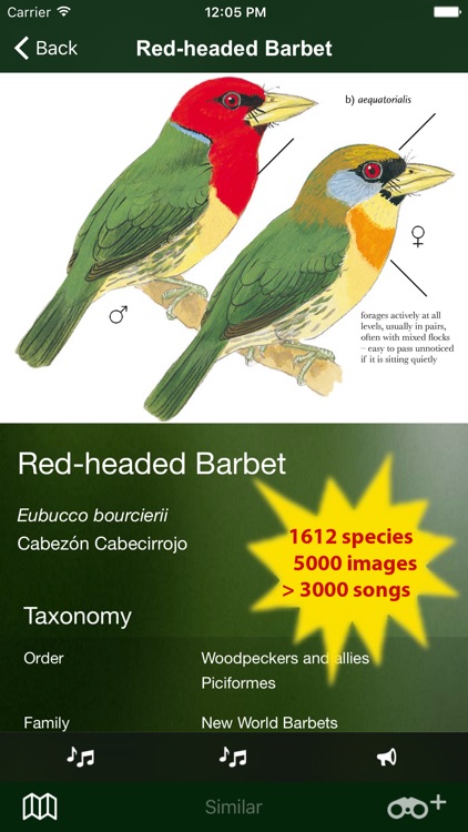 All Birds Ecuador - a complete field guide to all the bird species recorded in Ecuador