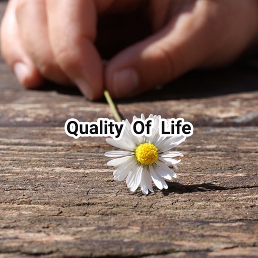 All Quality of Life icon