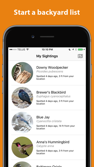 Birder - Log birds you see(圖3)-速報App