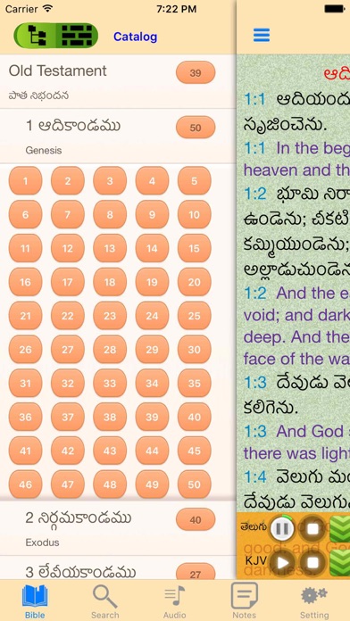 How to cancel & delete Telugu-English Indian Audio Holy Bible from iphone & ipad 2