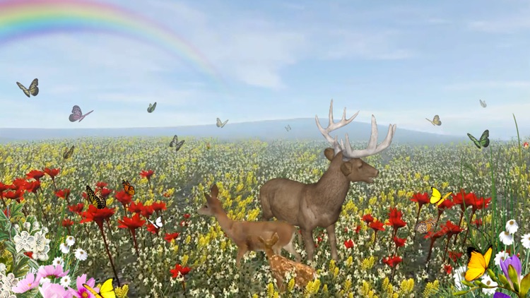 Life Of Deer screenshot-0