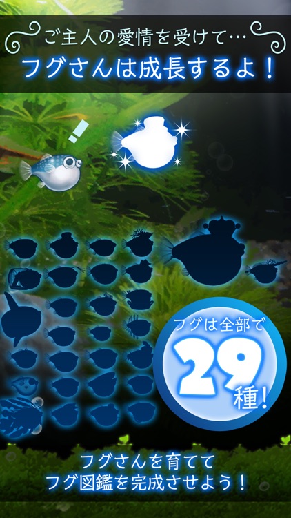 ぼくのフグさん水族館 【無料でかわいい癒し系育成ゲーム】 screenshot-3