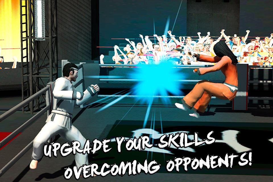 Karate Do Fighting Tiger 3D screenshot 3