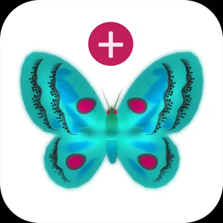 Butterfly Math Addition Читы