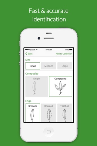 Flora Finder screenshot 3