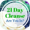 Best & Easy 21 Day Guide To Cleansing for Beginners - Detox, Diet & Weight Loss