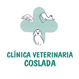 CLINICA VETERINARIA COSLADA