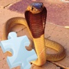 Snakes Great Puzzle