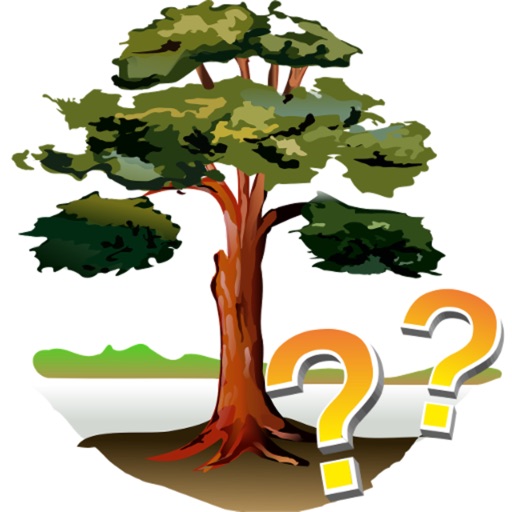 Trees - quiz Icon