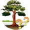 Trees - quiz